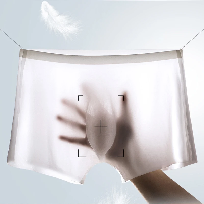 10 Pcs/Lot Men's Summer Ice Si - Boxer Shorts Modal ulasan dan harga